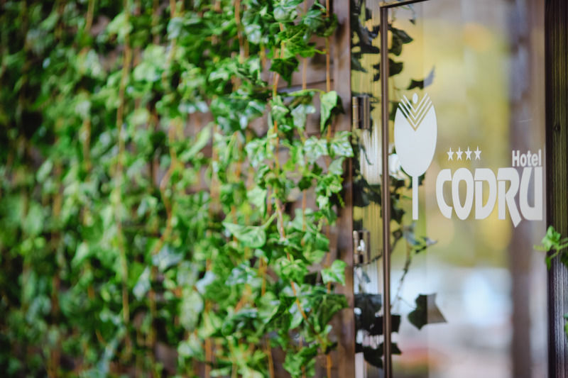 Codru Hotel 키시나우 외부 사진